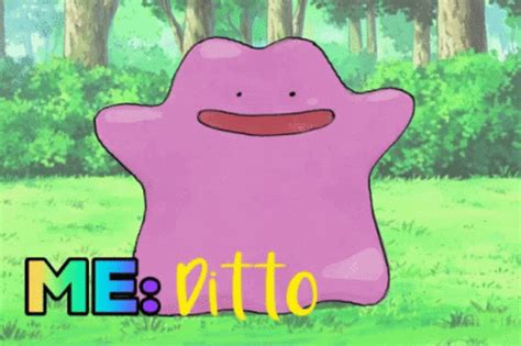 ditto gif|ditto meme gif.
